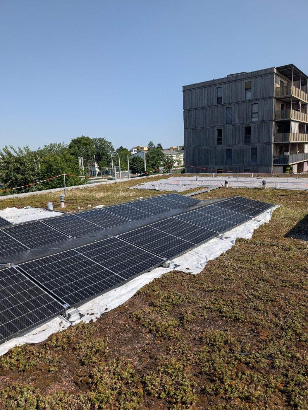 Photovoltaik auf begrüntem Flachdach